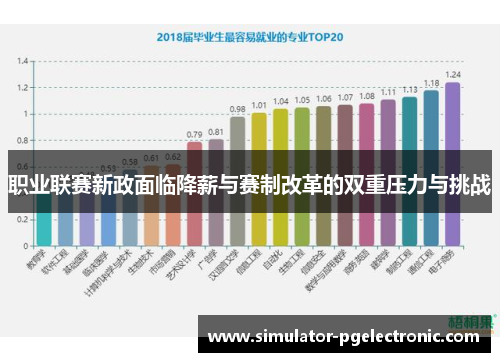职业联赛新政面临降薪与赛制改革的双重压力与挑战