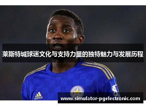 莱斯特城球迷文化与支持力量的独特魅力与发展历程 莱斯特城球迷文化与支持力量的独特魅力与发展历程