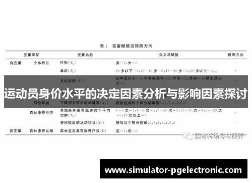 运动员身价水平的决定因素分析与影响因素探讨 运动员身价水平的决定因素分析与影响因素探讨