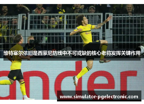 维特塞尔依旧是西蒙尼防线中不可或缺的核心老将发挥关键作用