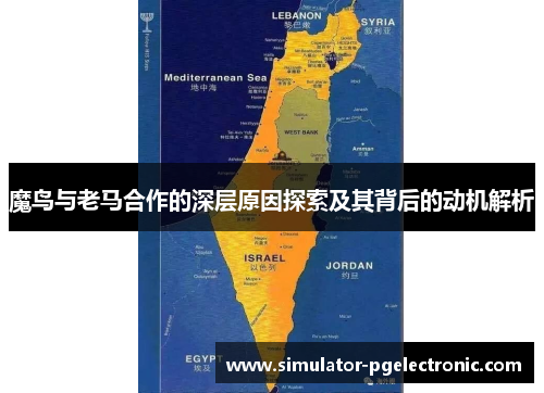 魔鸟与老马合作的深层原因探索及其背后的动机解析