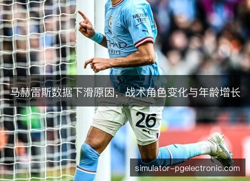 马赫雷斯数据下滑原因，战术角色变化与年龄增长