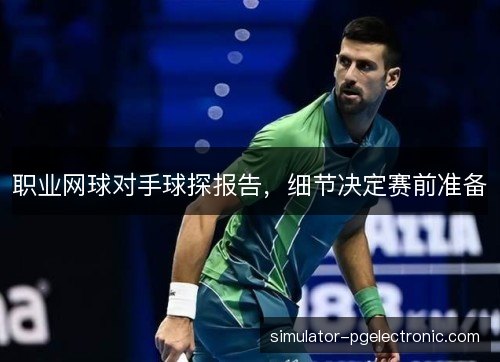 职业网球对手球探报告,细节决定赛前准备 职业网球对手球探报告,细节决定赛前准备